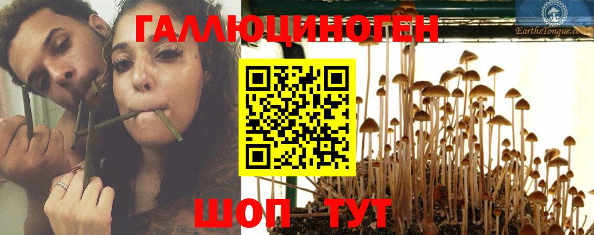 Галлюциногенные грибы Magic Shrooms Ефремов